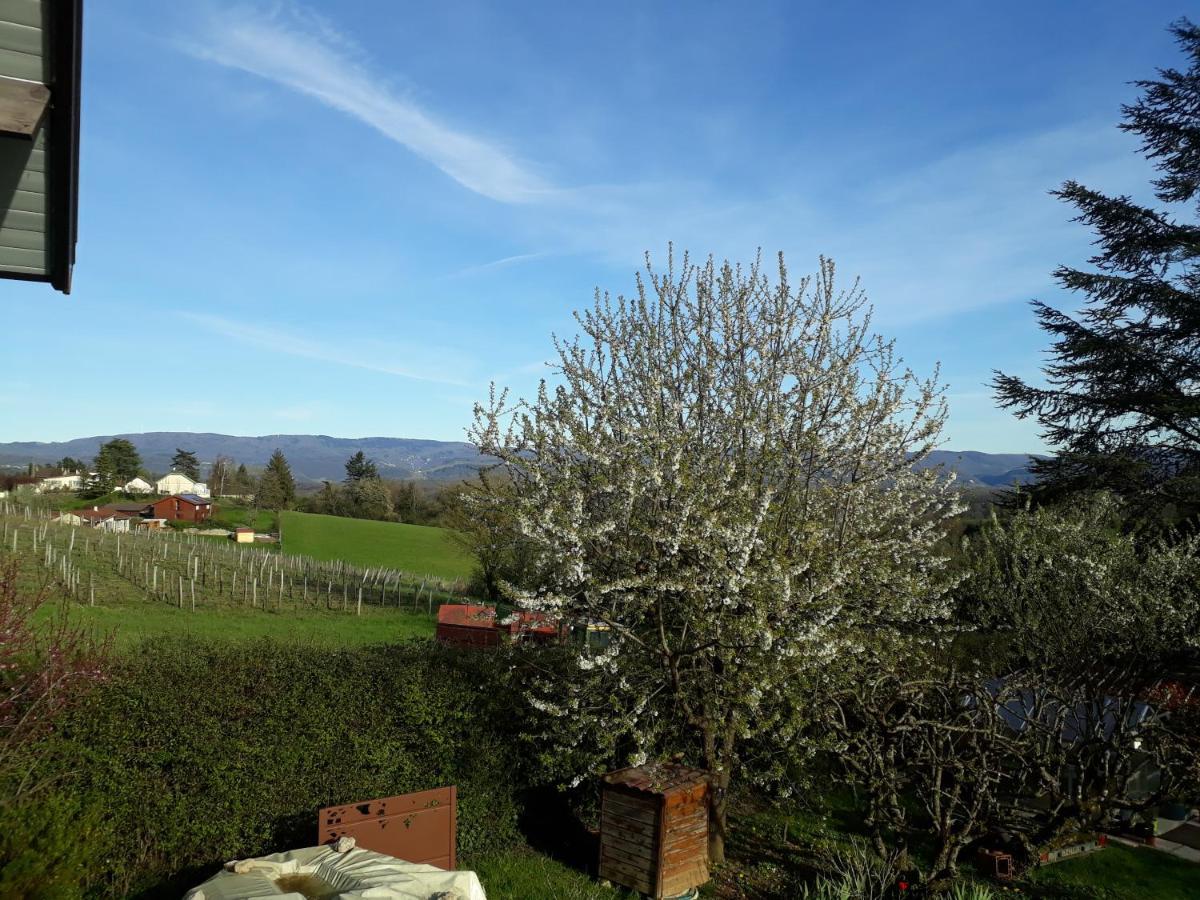 Chalet Norev Saint-Martin-du-Mont Exterior foto