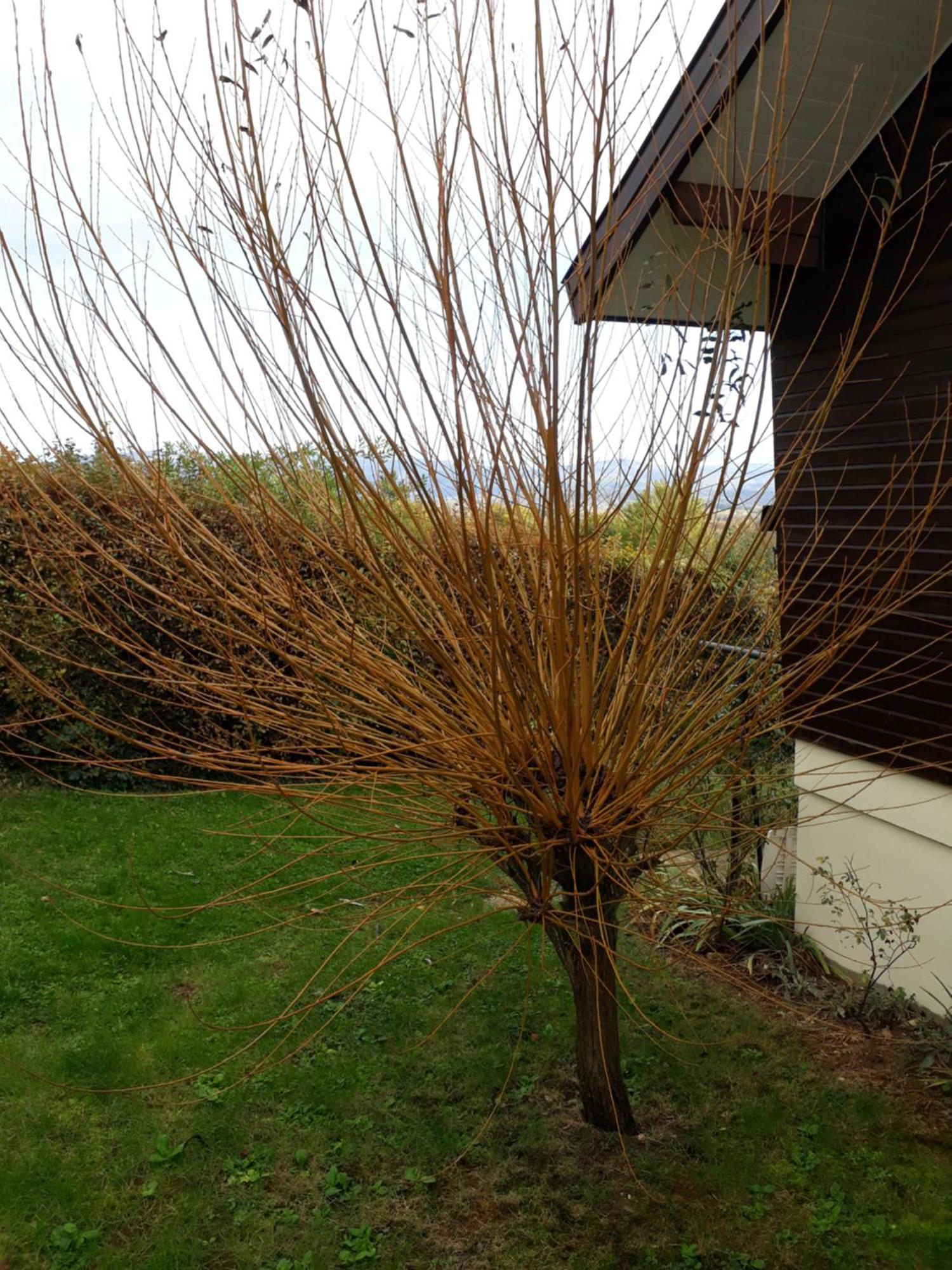 Chalet Norev Saint-Martin-du-Mont Exterior foto