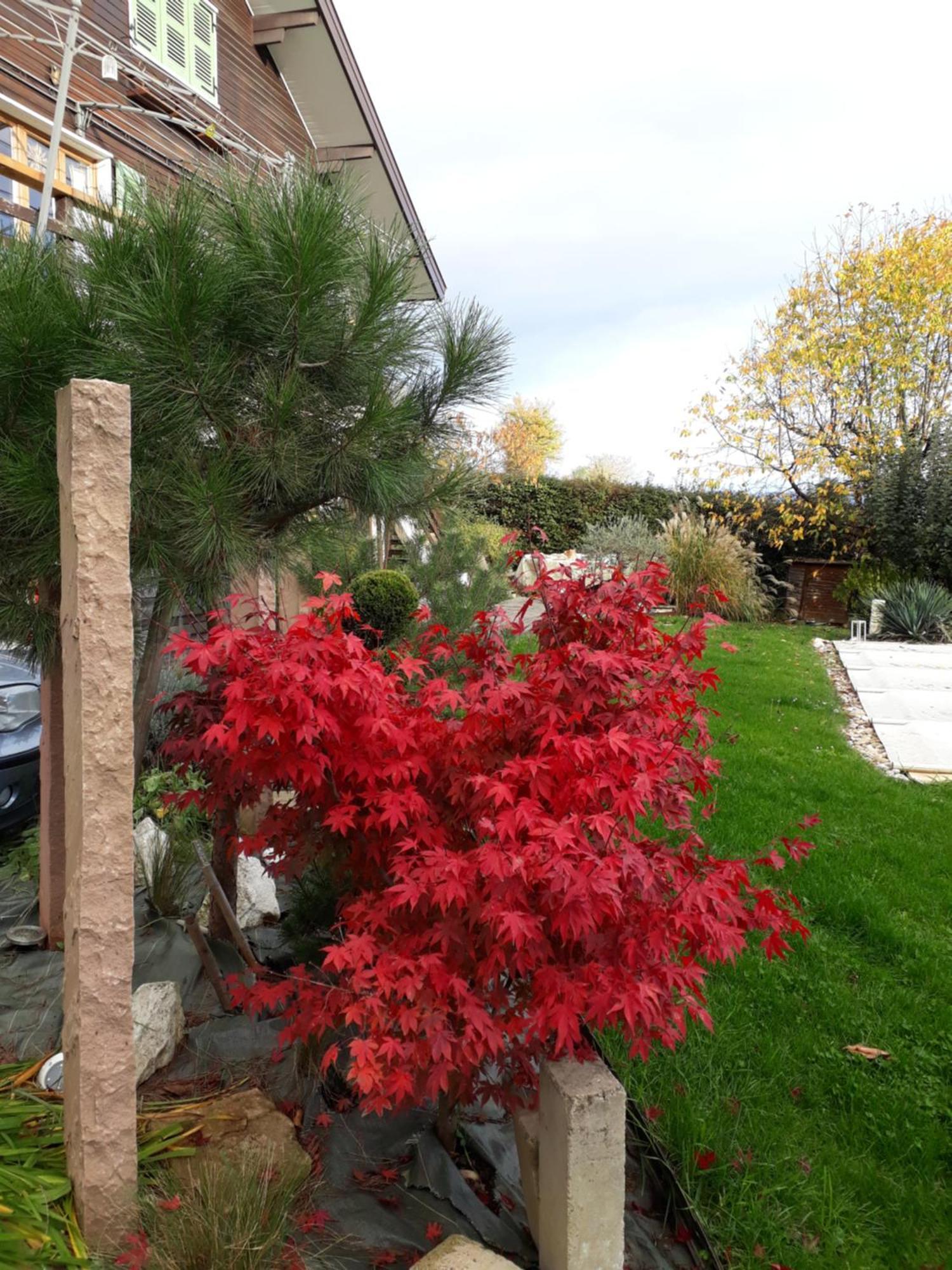 Chalet Norev Saint-Martin-du-Mont Exterior foto